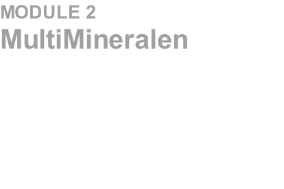MODULE 2	 MultiMineralen